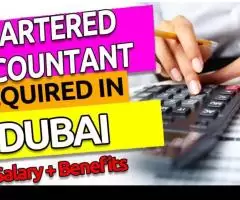 Chartered Accountant Required in Dubai -