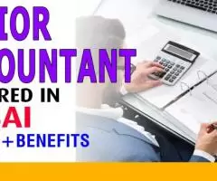 Senior Accountant Required in Dubai