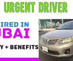 Urgent Driver Required in Dubai