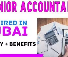 Junior Accountant Required in Dubai