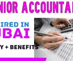 Senior Accountant Required in Dubai