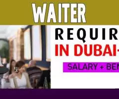 Waiter Required in Dubai