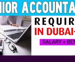 Junior Accountant Required in Dubai -