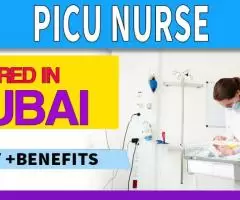 PICU Nurse Required in Dubai