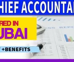 Chief Accountant Required in Dubai