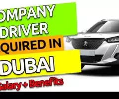 Company Driver Required in Dubai