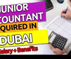 Junior Accountant Required in Dubai