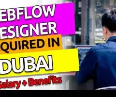 Webflow Designer Required in Dubai