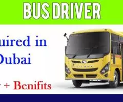 Bus Driver Required in Dubai