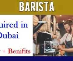 Barista Required in Dubai