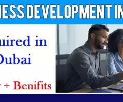 Business Development Intern Required in Dubai